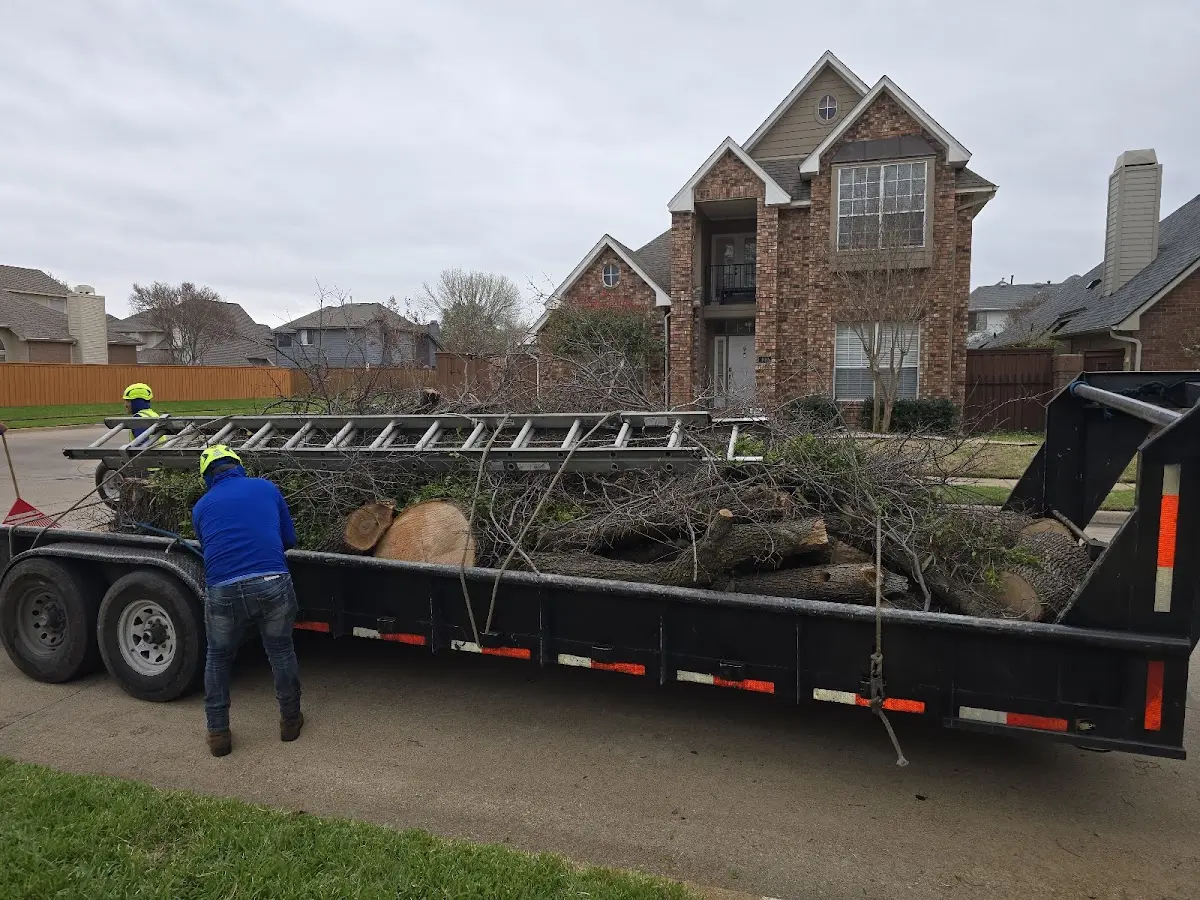 Expert Tree Fertilization with proper safety equipment in Harrisburg